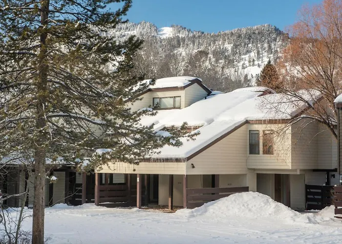 Rmr: Cinquefoil 1615 In The Aspenswilsonwy Apartment Wilson